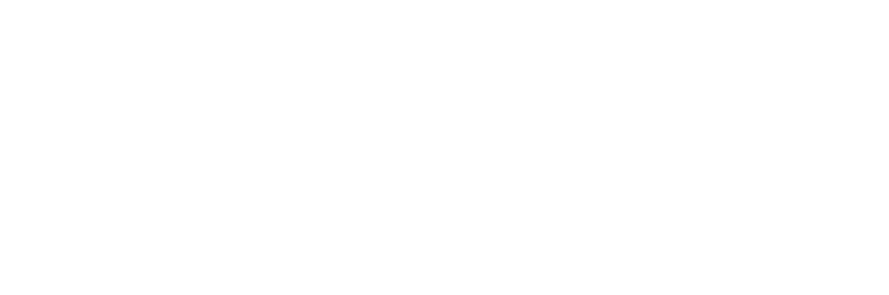 ALTESSE PARIS 